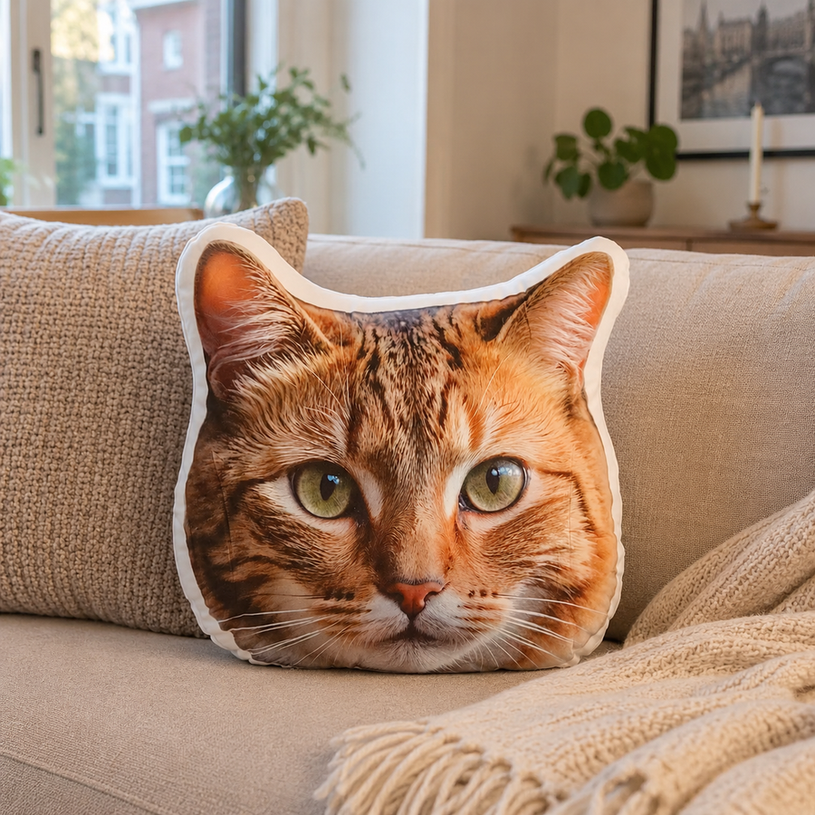 Description du KuschelPortrait