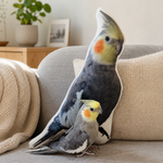 Coussin 3D personnalisé KuschelPortrait sur un canapé